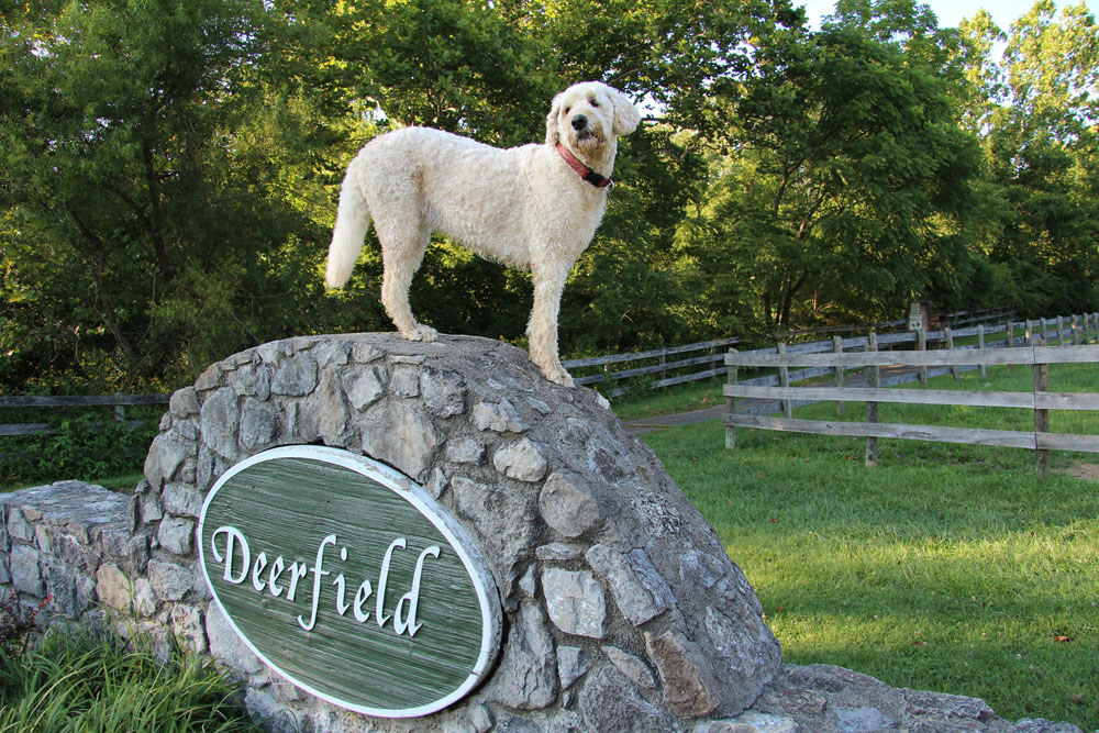 Mari loves the Deerfield Trail